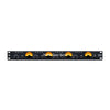 Black Lion Audio Auteur Quad² 4-channel Auteur Mic/line/DI Preamp with 4 Cinemag Transformers