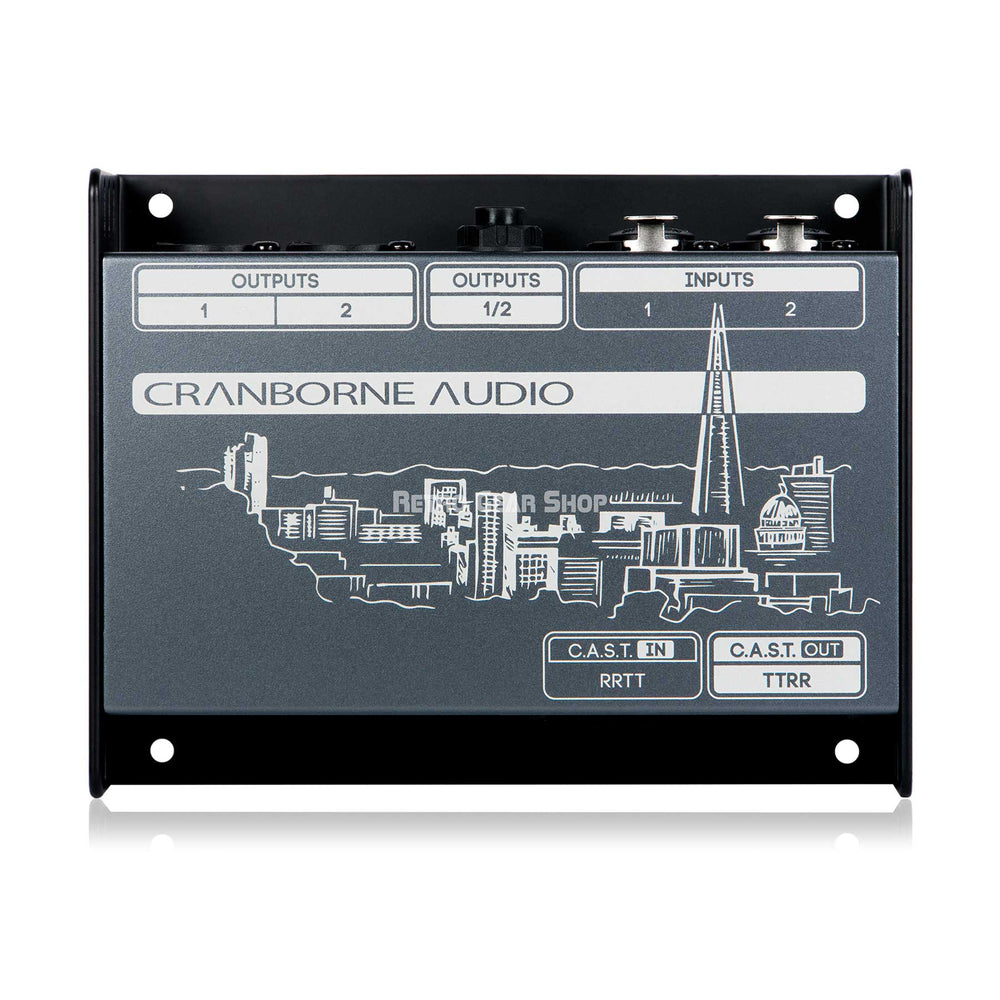 Cranborne Audio N22 Cat 5 Snake and C.A.S.T. Breakout Box