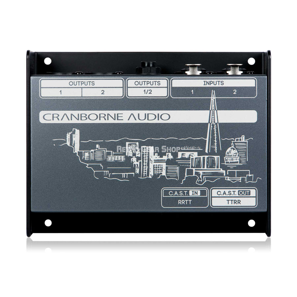 Cranborne Audio N22 Cat 5 Snake and C.A.S.T. Breakout Box