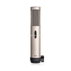 Royer Labs R-12 Active Ribbon Microphone