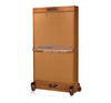AfterSound Reverbophone Reverberating Microphone Honey Oak with Blond Grill Front
