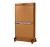 AfterSound Reverbophone Reverberating Microphone Honey Oak with Blond Grill Rear