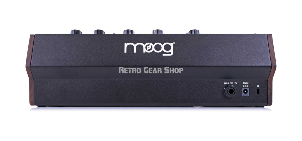 Moog Spectravox Rear