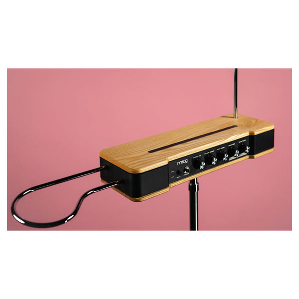 Moog Etherwave Theremin for sale New in-stock at Retro Gear Shop, Nashville TN