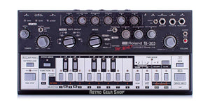 Roland TB-303 Bass Line Synthesizer The Beast Top