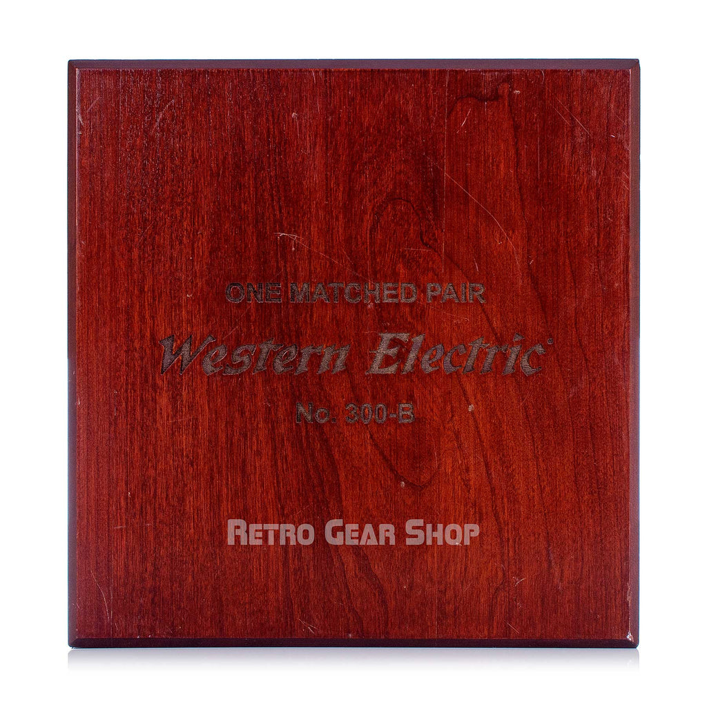 Western Electric 300B Case