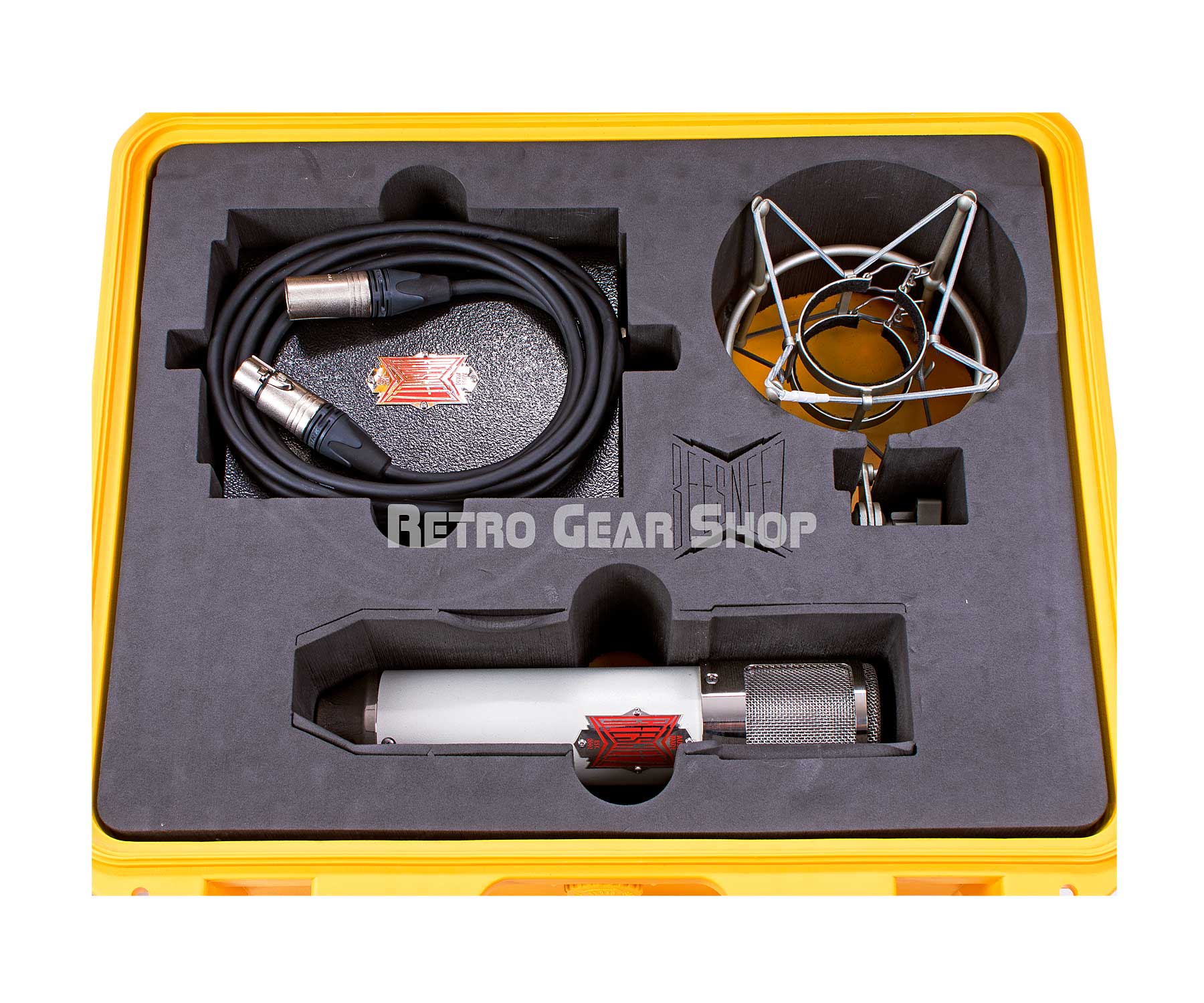 BeesNeez Microphones T2 Tribute 2 tube mic Minty ELAM 251 tribute