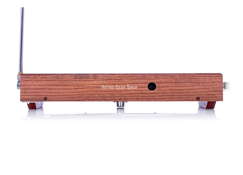 Moog Etherwave Theremin Rear