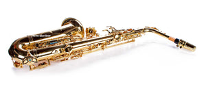 Yanagisawa AW01 Alto Saxophone Sax AWO1 AW-01 Sax