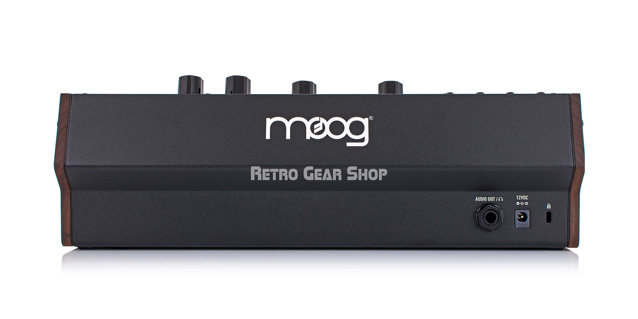 Moog Subharmonicon Rear