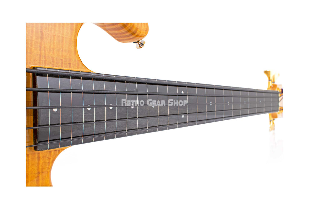 Pedulla Pentabuzz Fretless 5 string Fretboard