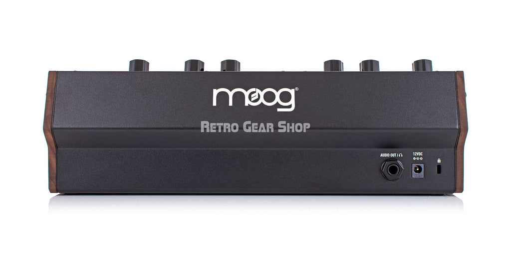 Moog DFAM Rear