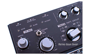 Roland TB-303 Bass Line Synthesizer The Beast VCF Mod